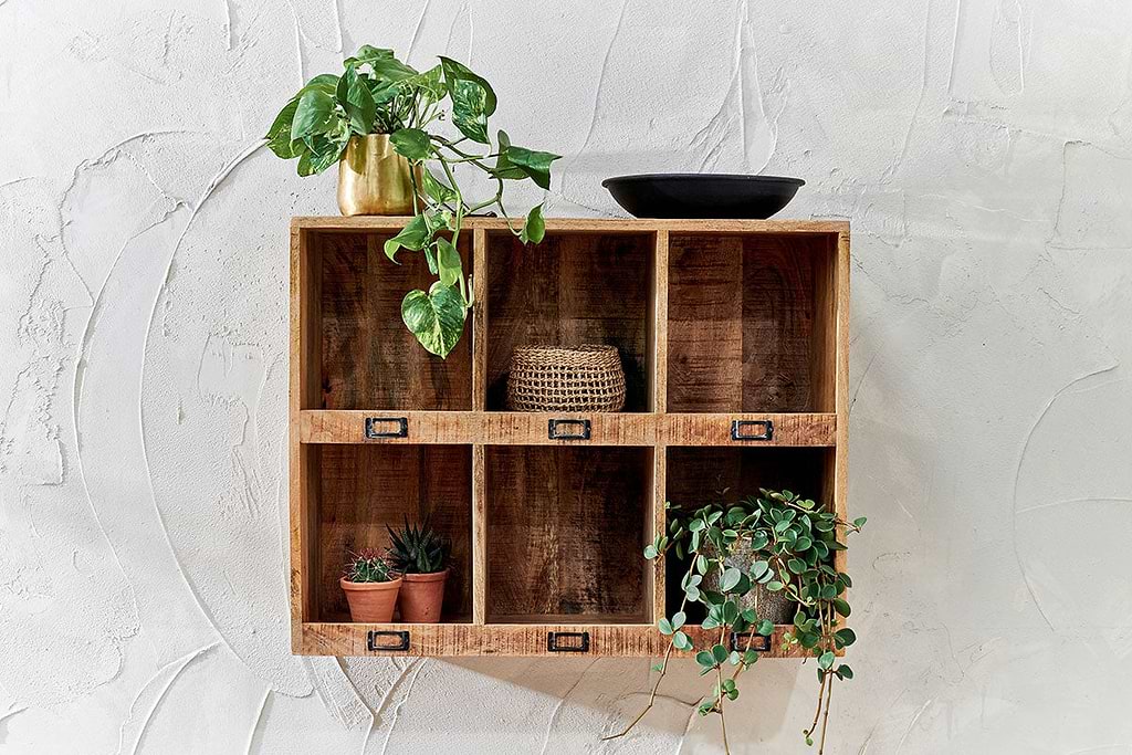 Mango Wood Wall Storage with plants