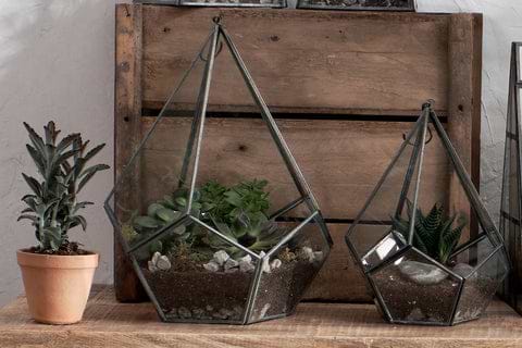 Viri Hanging Terrarium