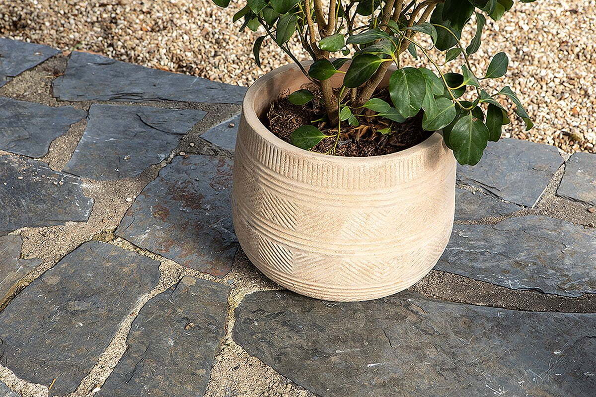Zadie Etched Ceramic Planters - Neutral - (Set of 2)