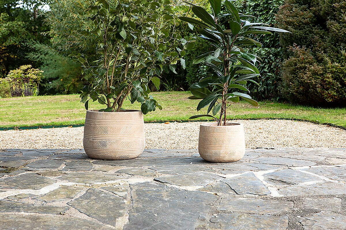 Zadie Etched Ceramic Planters - Neutral - (Set of 2)