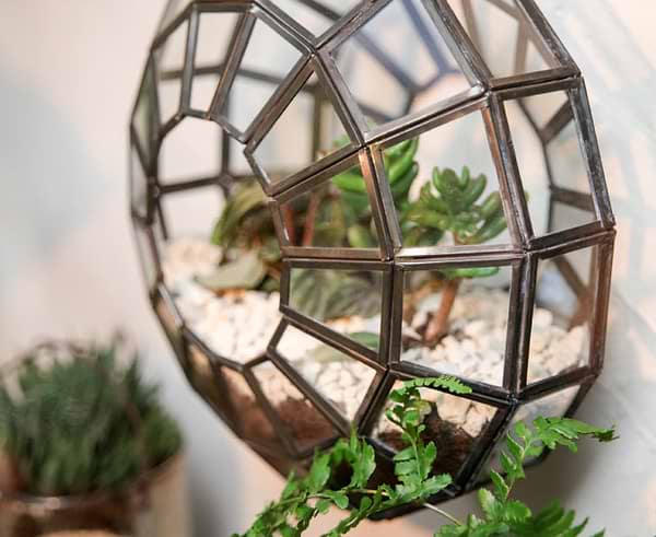 Zinc Terrarium with succulents