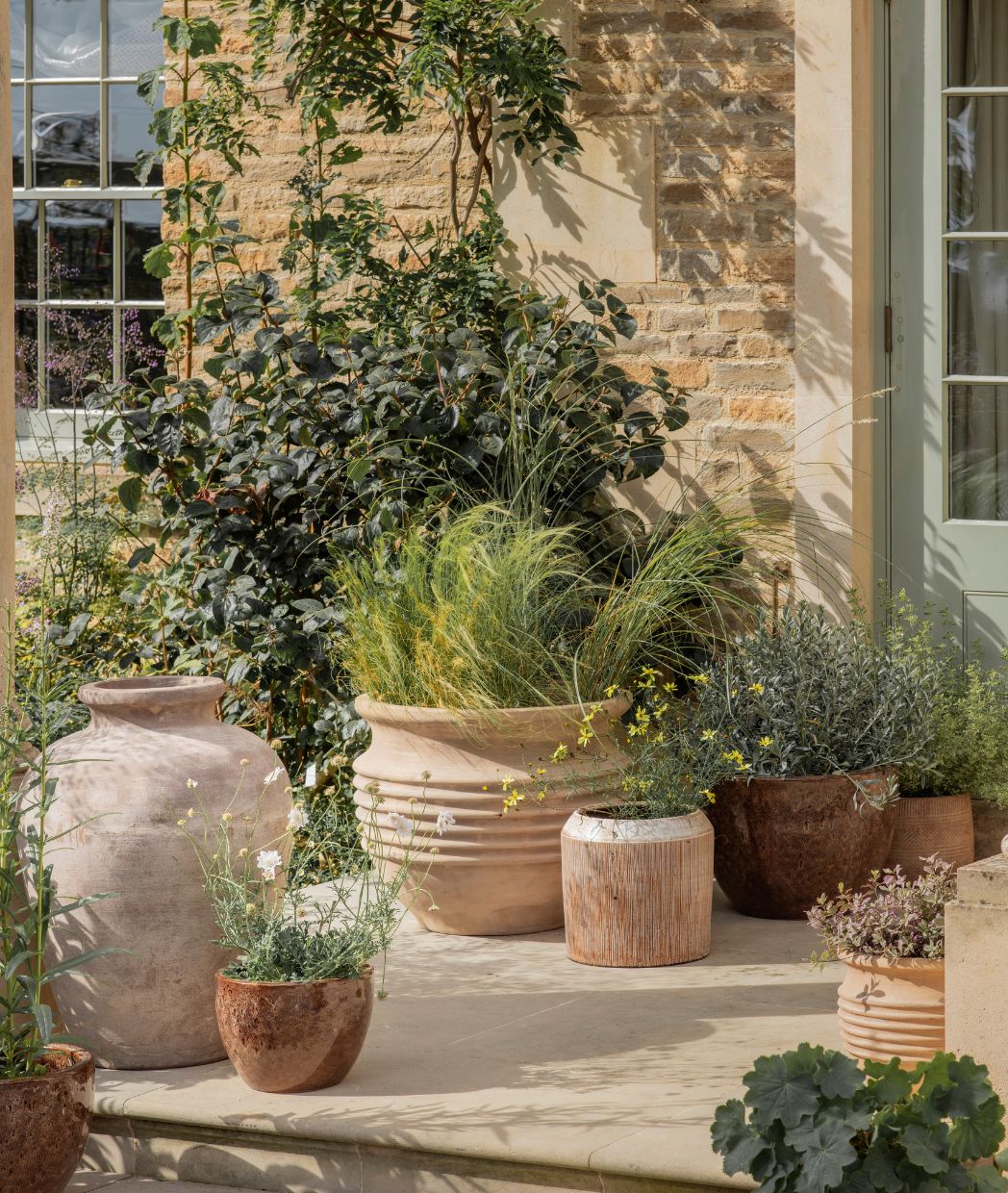 A Seasonal Guide to Spring Planting