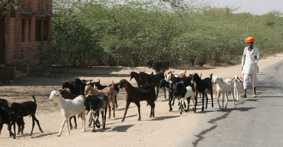 Travels in India