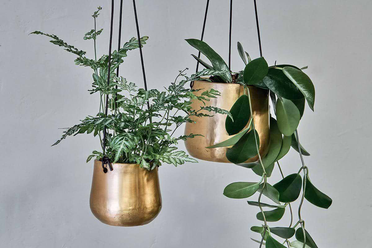 hanging brass planter Atsu Brass Hanging Planter – Nkuku