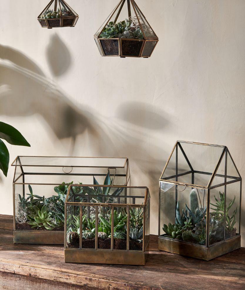 How to Plant a Terrarium