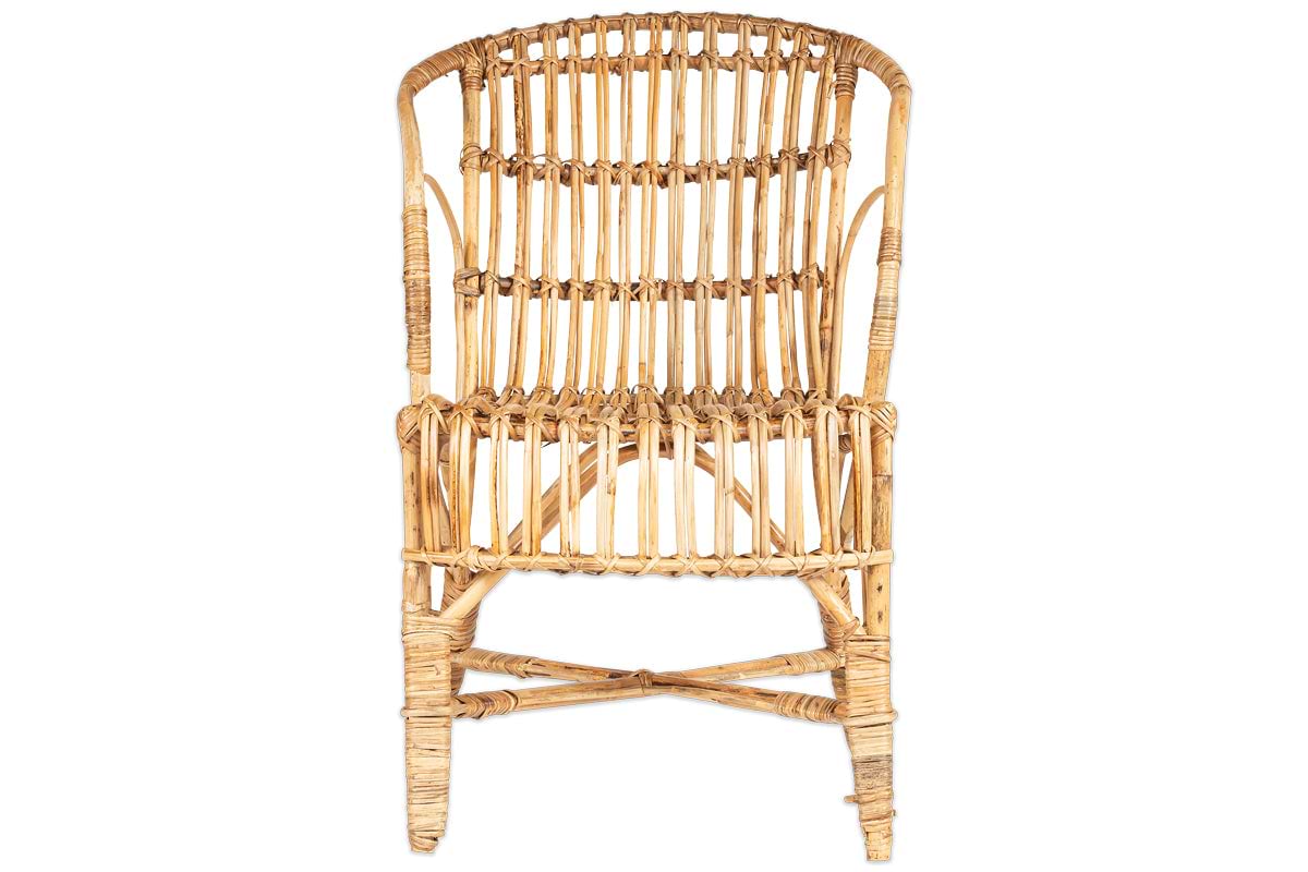 Ajaya Rattan Dining Chair-GARDEN-Nkuku