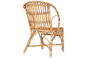 Ajaya Rattan Dining Chair-GARDEN-Nkuku