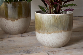 Two nkuku Almeida Reactive Glaze Plant Pots in Olive & Natural, each with a glossy, speckled finish that fades from green to beige, hold leafy plants on a rustic wooden floor, complementing the softly lit, neutral background.