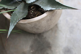 Affiti Clay Planter - Medium-VASES & PLANTERS-Nkuku