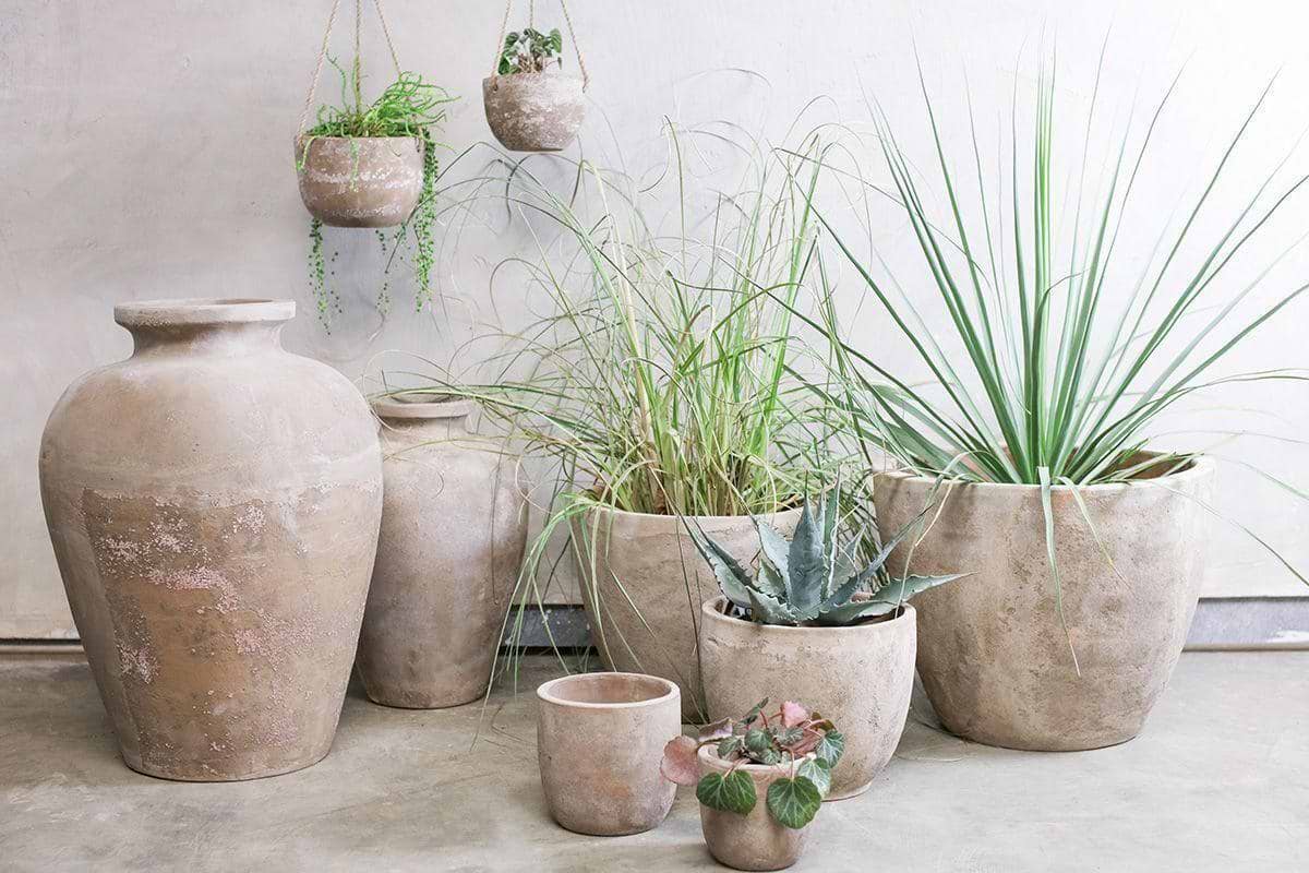 A group of rustic garden decor, including the nkuku Affiti Clay Planter - Medium, sits on a concrete floor against a light wall. Filled with grasses and succulents, two smaller handmade pots hang above the larger planters.