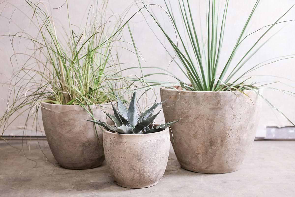 Affiti Clay Planter - Medium-VASES & PLANTERS-Nkuku