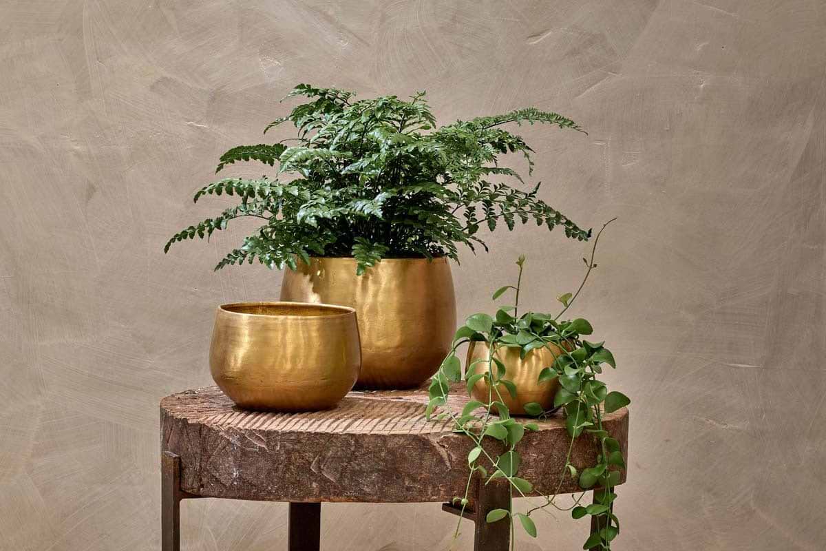 Atsu Brass Planter-VASES & PLANTERS-Nkuku