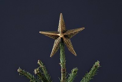 Bishakha Star Tree Topper