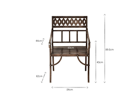 Bahula Decorative Iron Chair