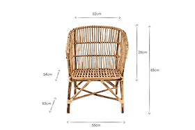 Nesari Rattan Armchair