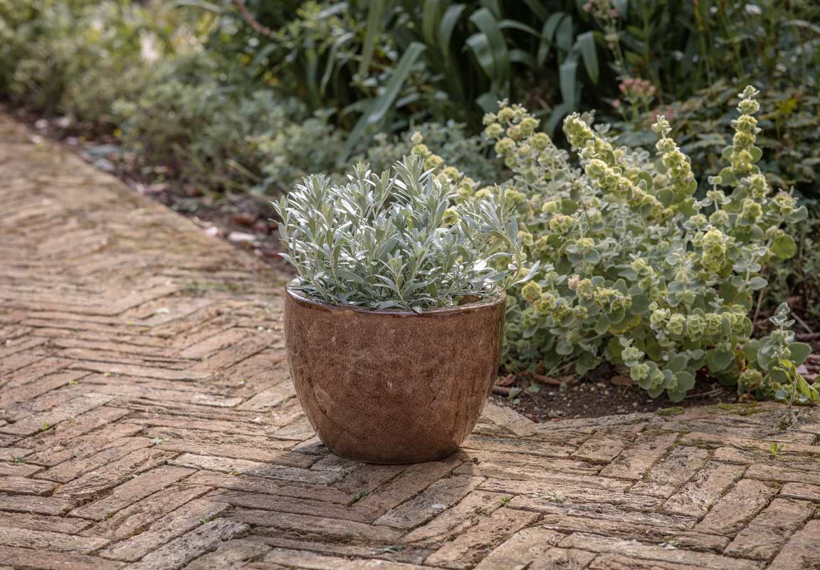 Dunai Terracotta Planter - Brown