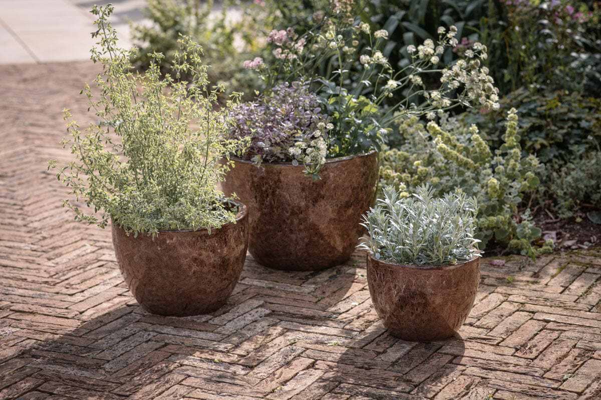 Three Dunai Terracotta Planters in brown from nkuku, each featuring a leafy green plant, are arranged on a herringbone-patterned brick patio amidst an array of lush garden foliage. Sunlight accentuates the natural beauty of the terracotta and vibrant leaves, showcasing the versatile indoor-outdoor design of these planters and creating a serene, harmonious garden atmosphere.