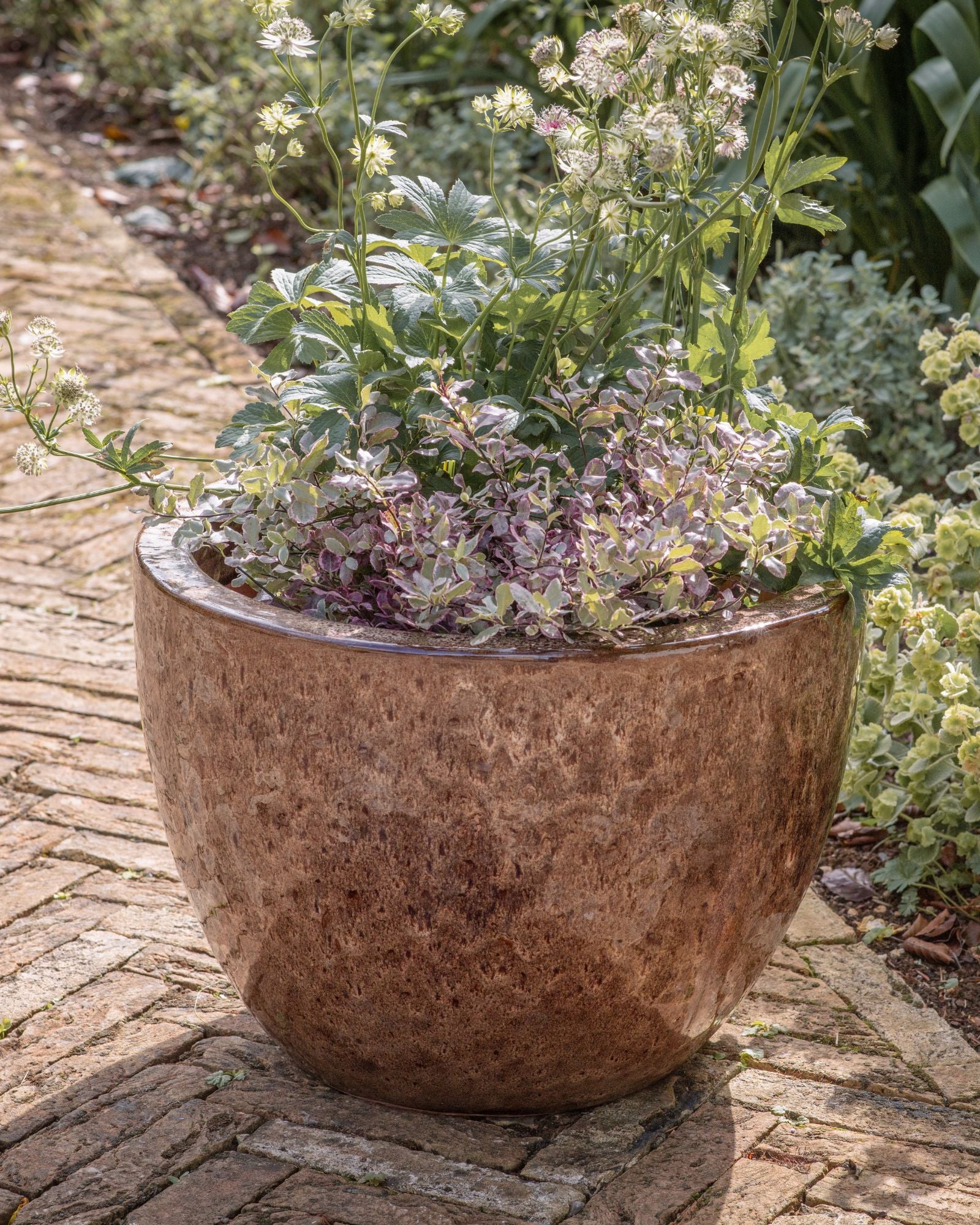 Dunai_planter_-_Desktop