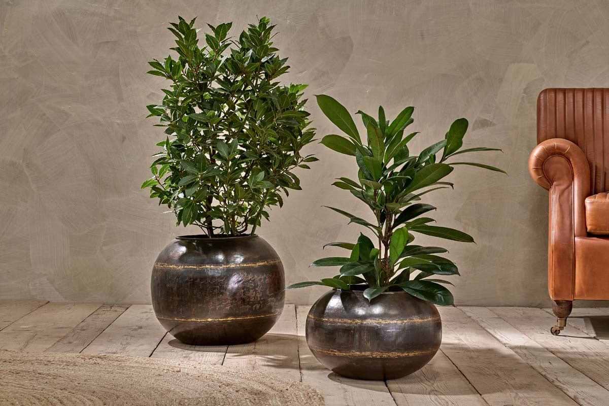 Endo Reclaimed Iron Globe Planter-VASES & PLANTERS-Nkuku