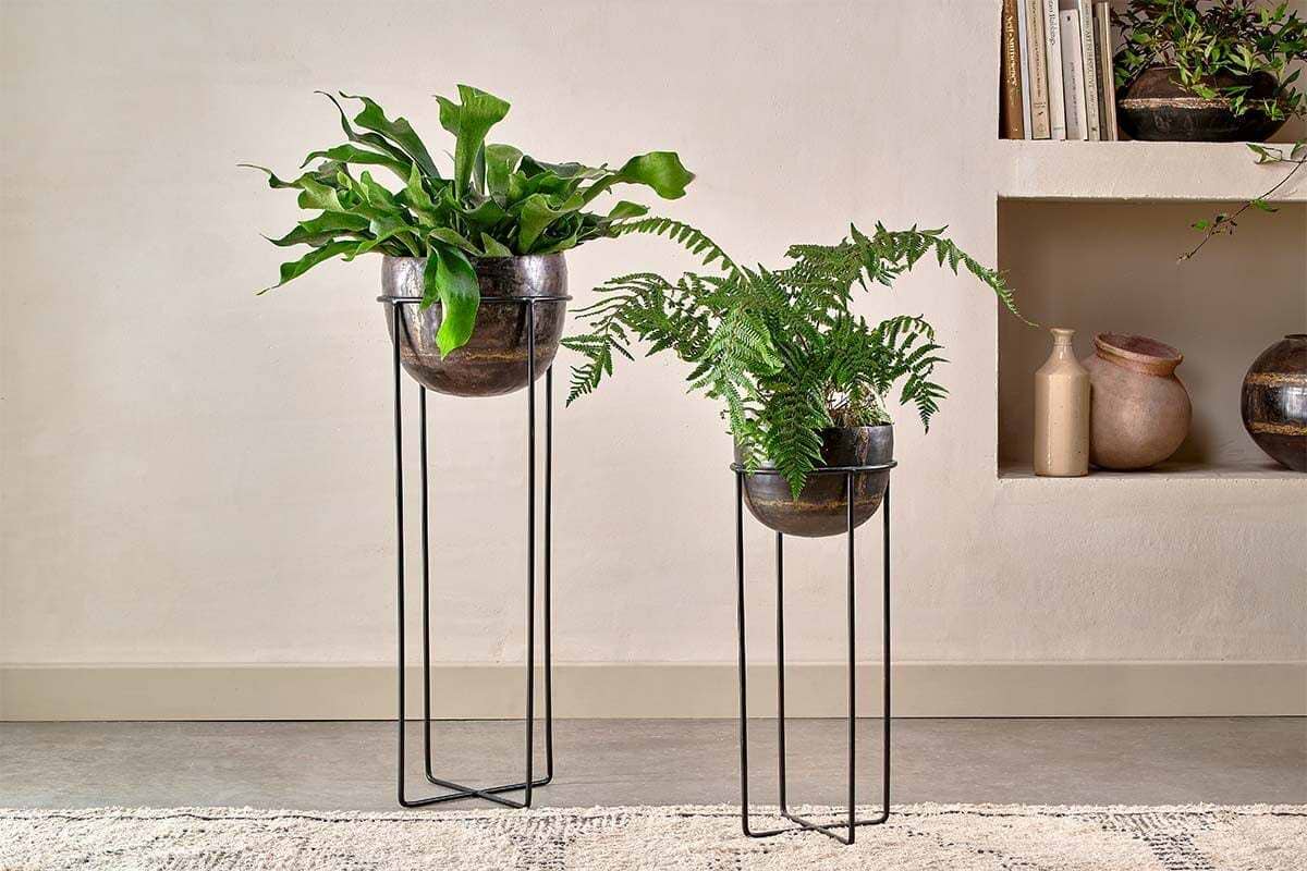 Iron Planters – Nkuku