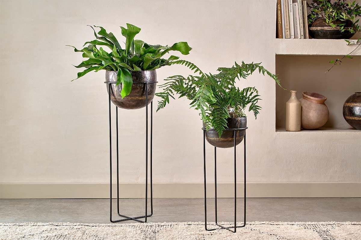 Two Endo Reclaimed Iron Planter Stands by nkuku, each holding lush green plants, stand on a light floor near a shelf with books and decor. A textured cream rug lies partially underneath against the beige wall.