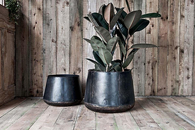 Two Endo Reclaimed Iron Planters by nkuku sit on a rustic wooden floor before a weathered plank wall. A large rubber plant fills the right planter, highlighting the natural charm of these recycled garden pieces.