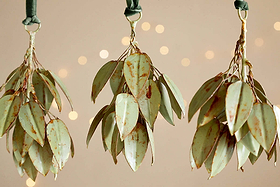 Four Geeti Baubles in soft green by nkuku hang from green velvet ribbons against a beige backdrop with blurred golden lights, adding a nature-inspired, serene touch with their elegant curves and subtle, organic hue.