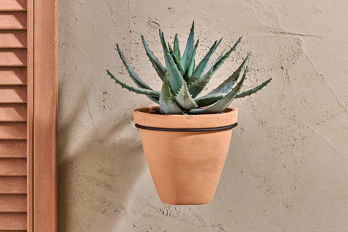 A spiky green aloe vera plant sits in the nkuku Jara Single Wall Hung Planter, a tan terracotta pot mounted on a beige textured wall. Wooden shutters on the left bring warmth to the neutral background.