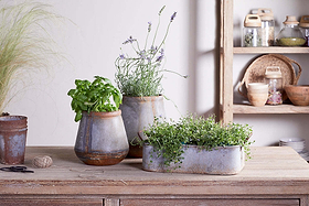 Japos Outdoor Planter Tray - Aged Zinc
