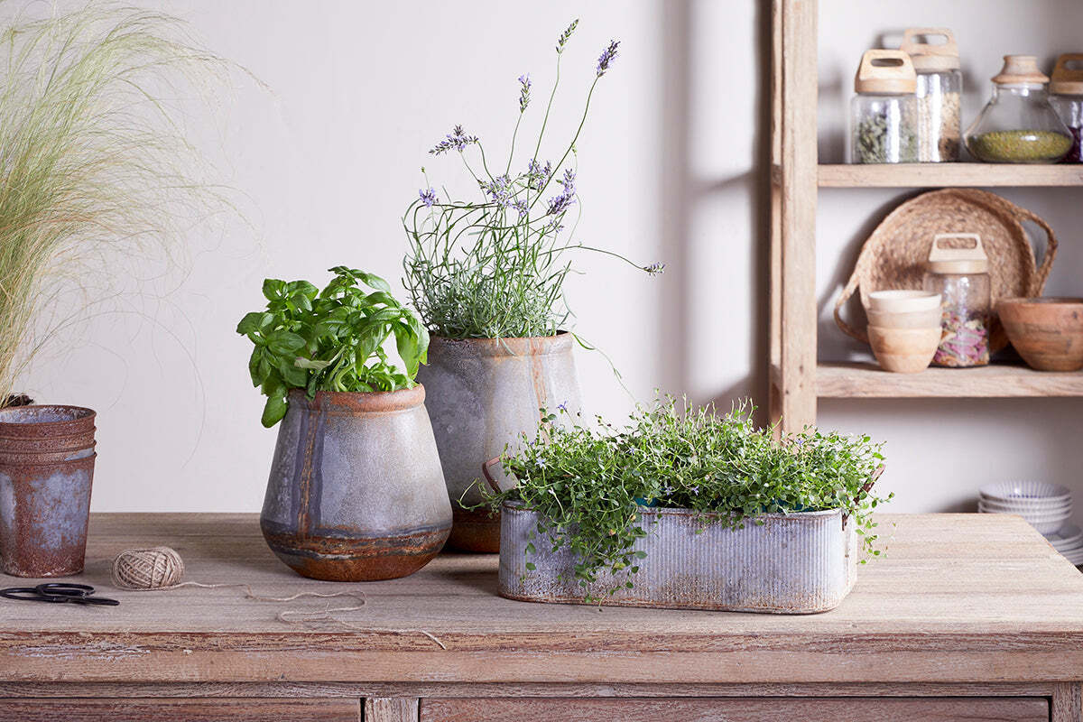 Japos Outdoor Planter Tray - Aged Zinc