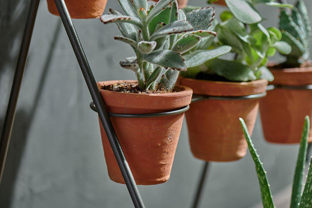 Jara Terracotta Planter Stand – Nkuku