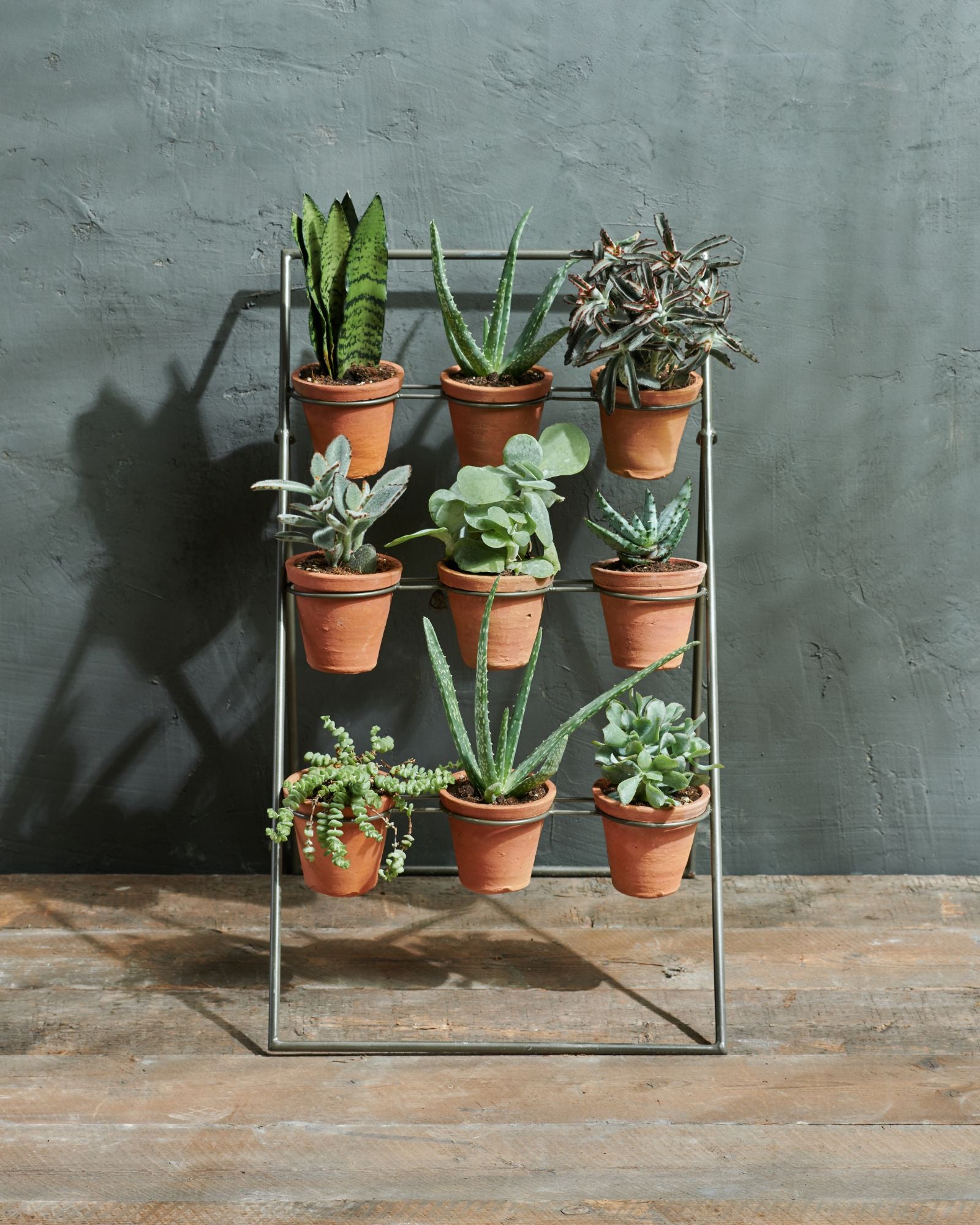 Jara_planter_-_Desktop