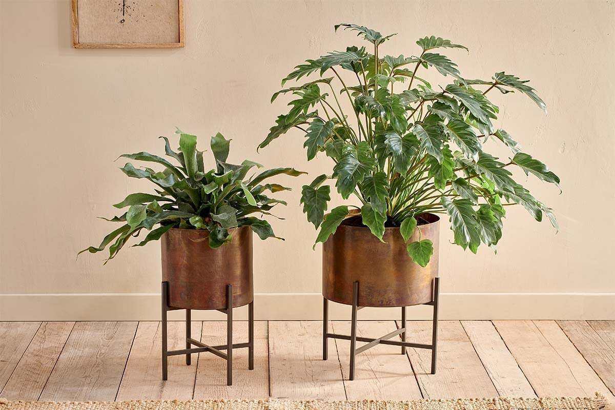 Juoni Iron Planter-VASES & PLANTERS-Nkuku