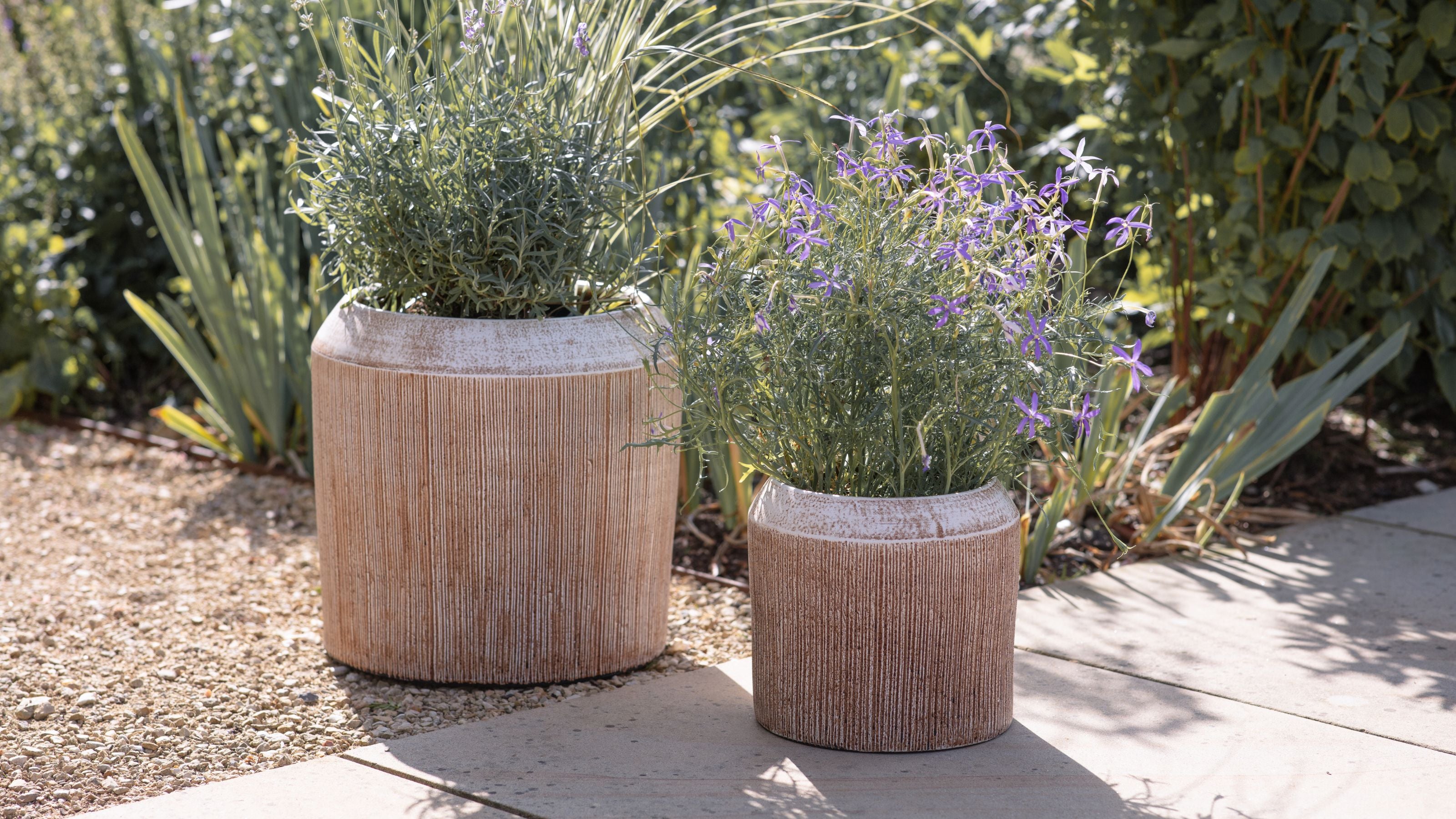 Kubo_planter_-_Desktop
