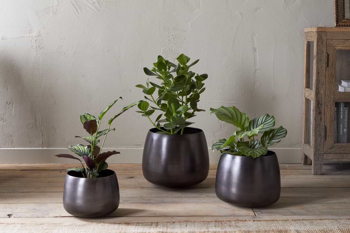 Maliki Plant Pot - Aged Bronze-VASES & PLANTERS-Nkuku