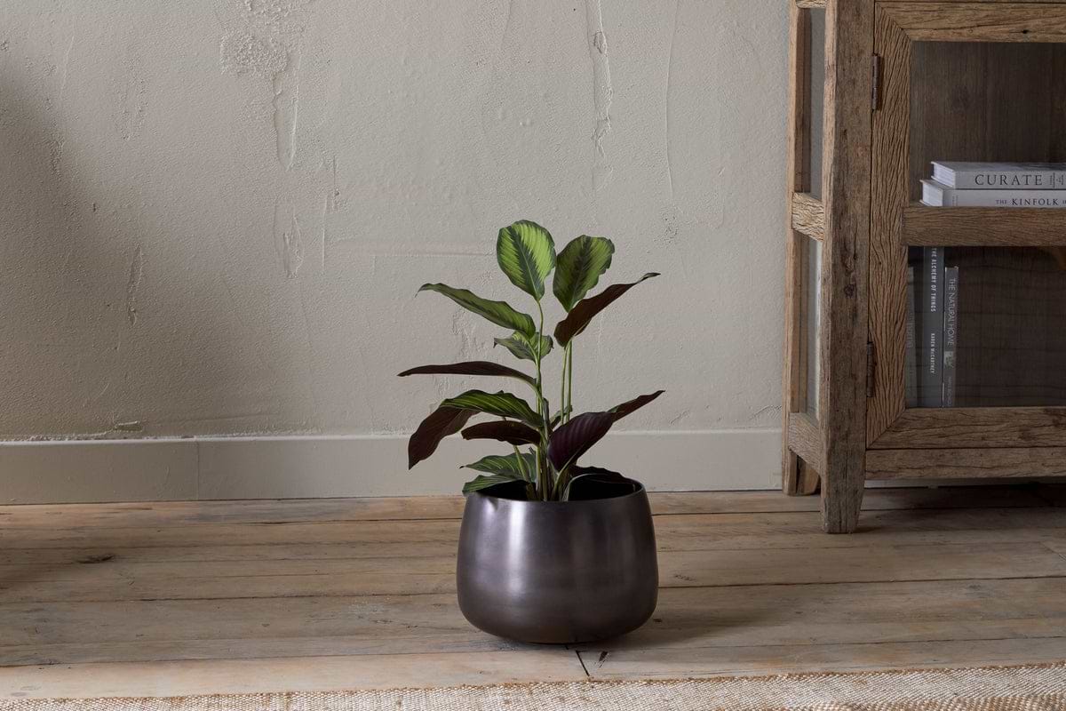 muskot plant pot Maliki Plant Pot