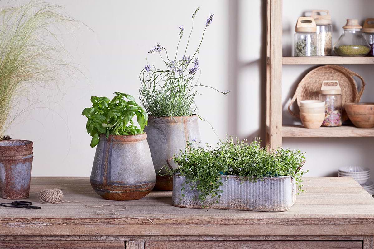 Mamba Outdoor Planter - Aged Zinc – Nkuku