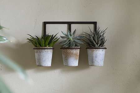 The nkuku Tukana Triple Wall Hung Planter - Zinc displays three small succulents in weathered metal pots, evenly spaced on a black frame and hung against a beige textured wall, highlighting their green and spiky foliage.