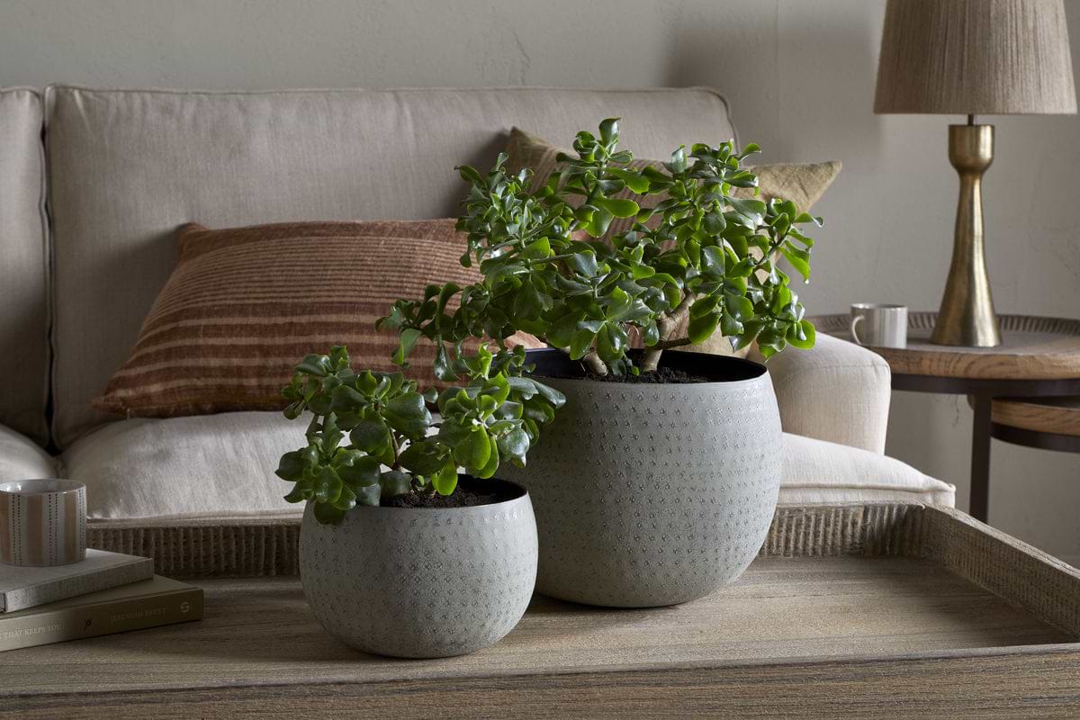Laoko Planter - Olive Grey-VASES & PLANTERS-Nkuku