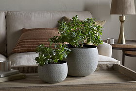 Two Laoko Planters in Olive Grey by nkuku sit on a wooden tray atop a coffee table. Behind them, a beige sofa with a brown striped pillow and round side table create a cozy, modern space in soothing neutral tones.