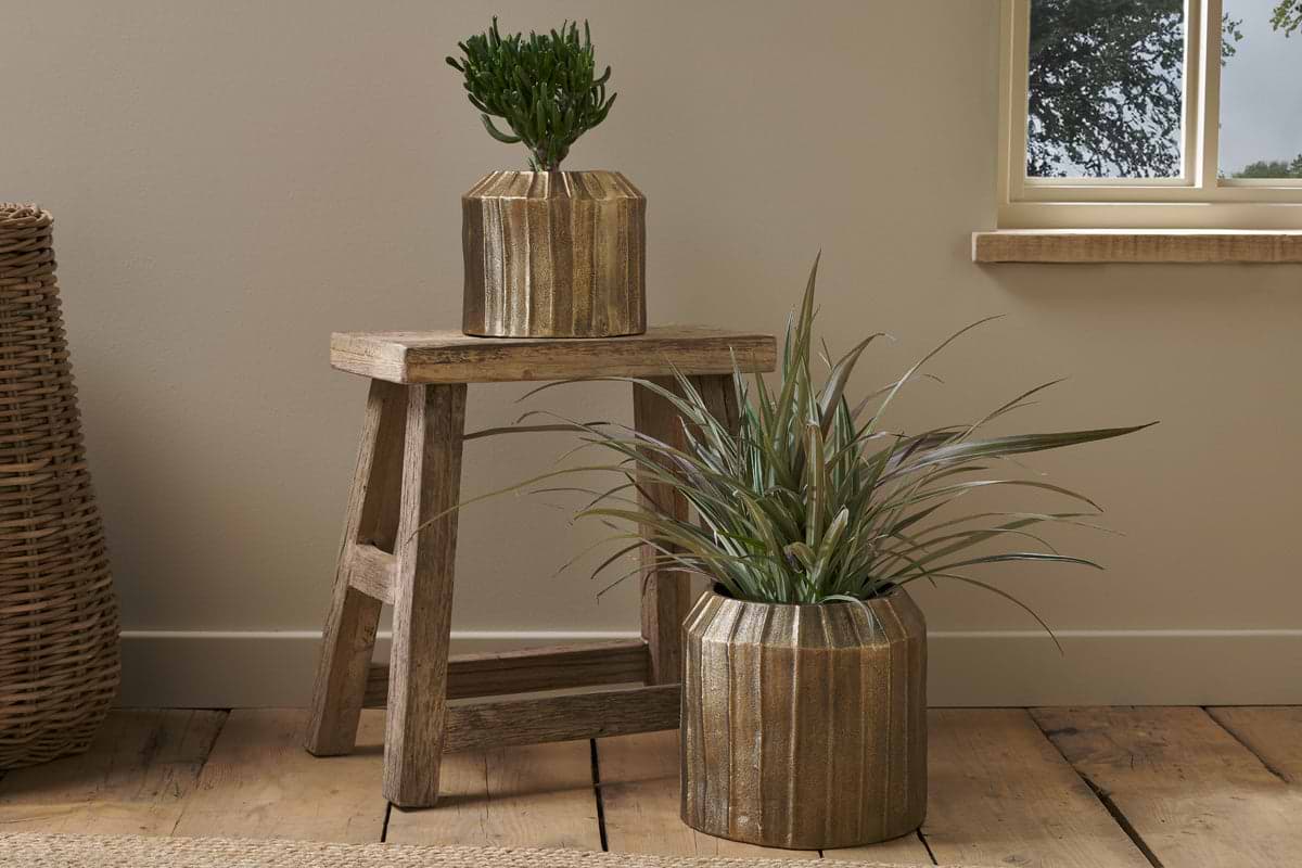 A rustic wooden stool holds a small Nabara Cast Aluminium Planter - Antique Brass by nkuku with a leafy plant. Beside it on the wooden floor sits a larger matching planter with spiky leaves. A wicker basket and window with trees are in the background.