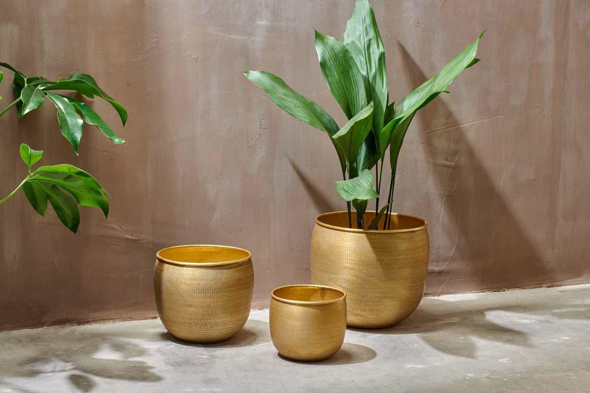 Tembesi Etched Planter - Antique Brass-VASES & PLANTERS-Nkuku
