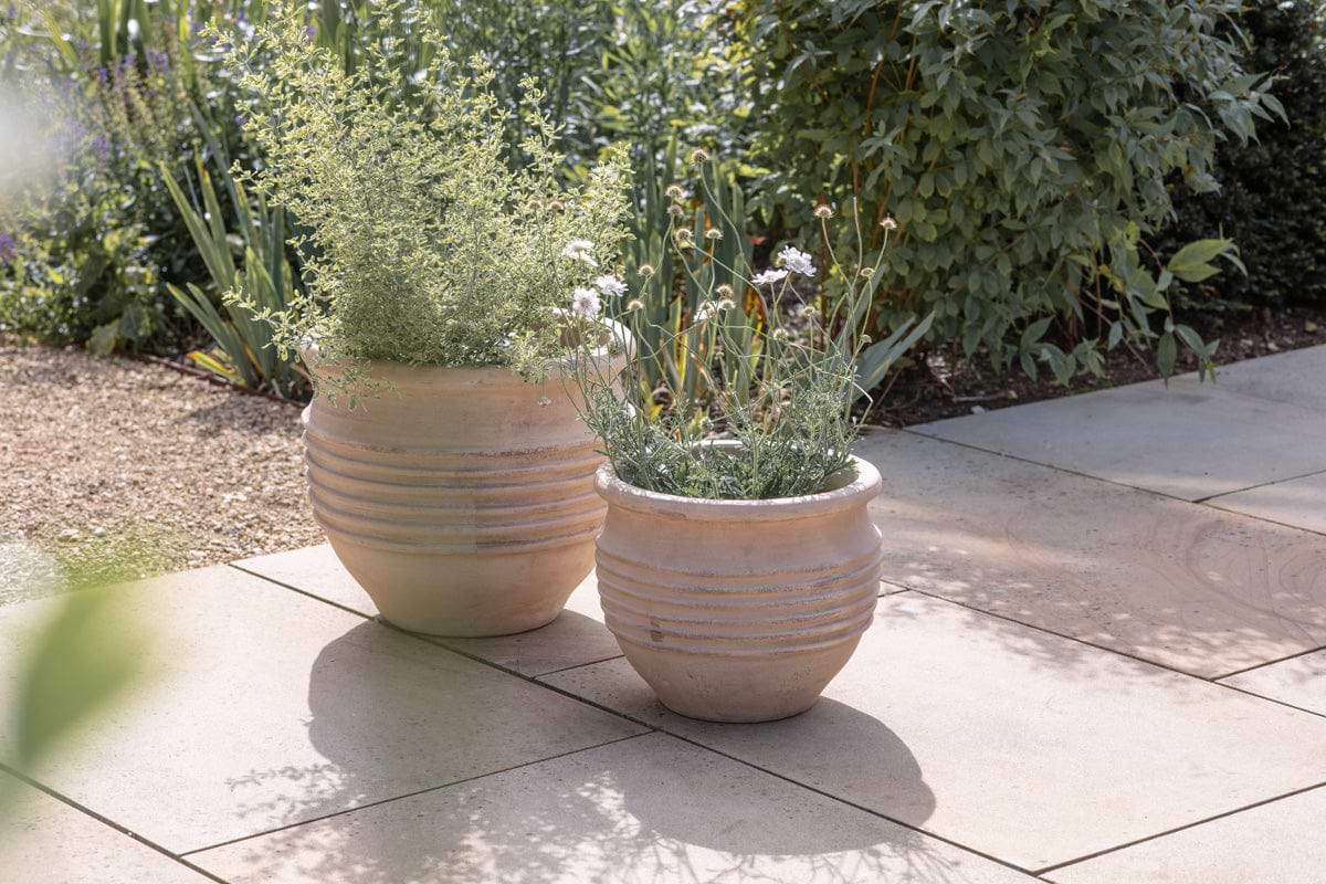 Two Ullu Terracotta Planters by nkuku, filled with leafy greens and white flowers, add style to a light stone patio. Their terracotta finish stands out against lush garden greenery and a sunlit gravel path.
