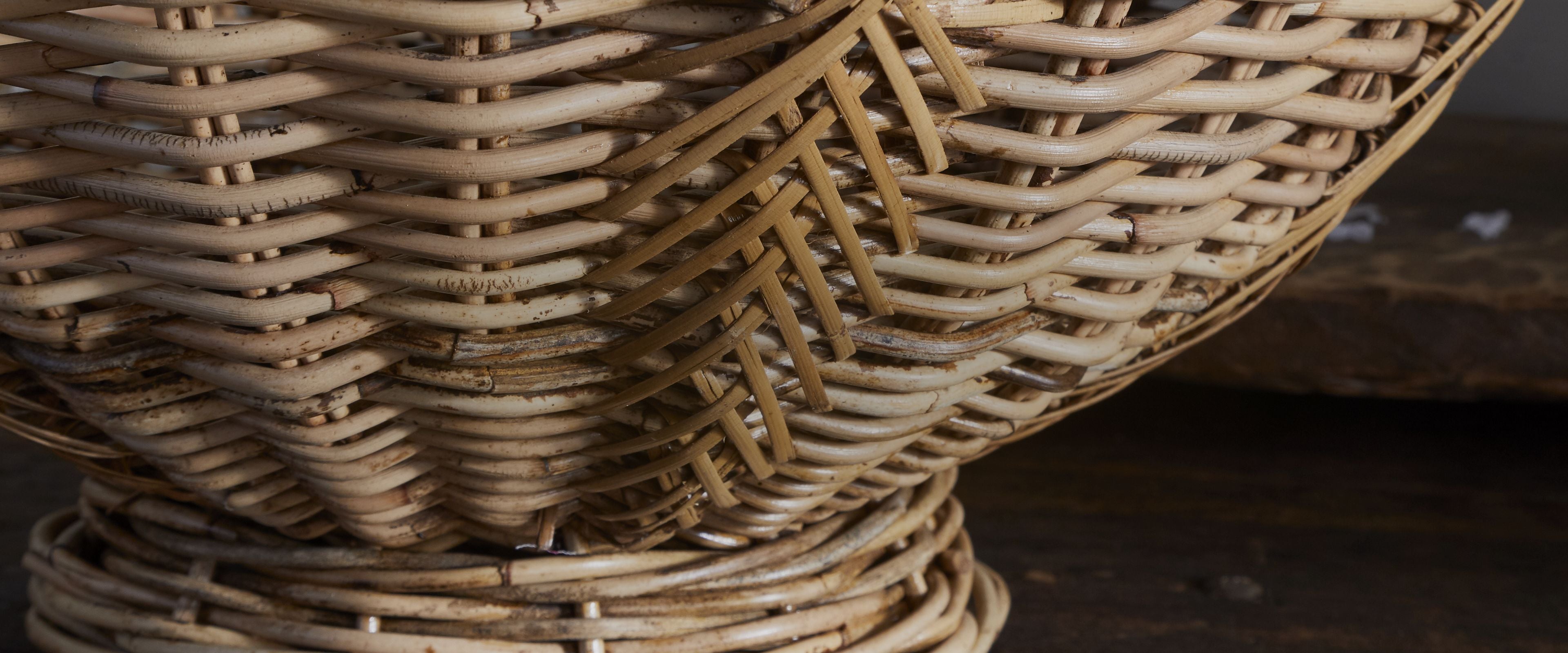 What_is_Rattan-Nkuku