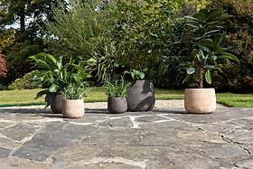 Zadie Etched Ceramic Planters - Grey - (Set of 2)
