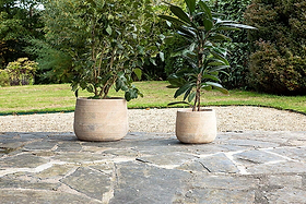 Two large green plants in nkuku Zadie Etched Ceramic Planters - Neutral (Set of 2) sit on a stone patio. The beige pots have geometric patterns, with gravel, a green lawn, shrubs, and trees beyond for a tranquil garden scene.