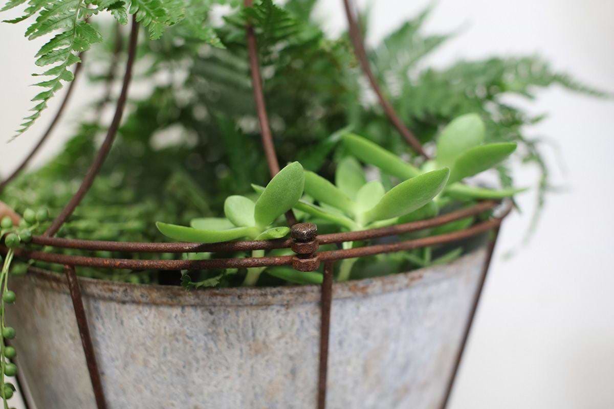 nkuku hanging planter Abari Caged Hanging Planter – Nkuku
