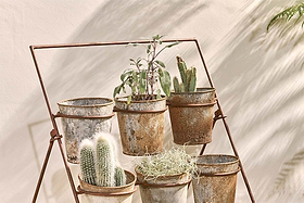The Abari Planter Stand by nkuku displays six aged zinc pots with succulents, cacti, and herbs. Sunlight casts soft shadows on a beige wall, enhancing the warm, rustic charm of this stylish garden decor.