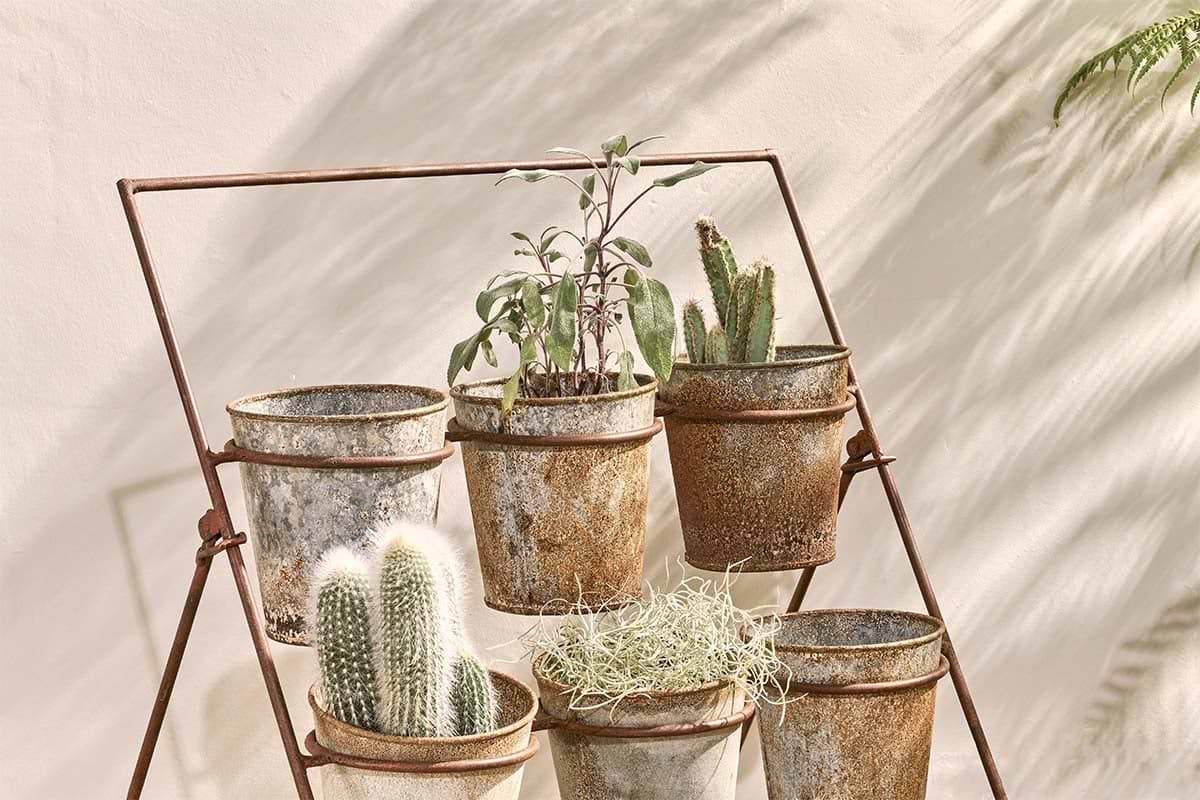 The Abari Planter Stand by nkuku displays six aged zinc pots with succulents, cacti, and herbs. Sunlight casts soft shadows on a beige wall, enhancing the warm, rustic charm of this stylish garden decor.