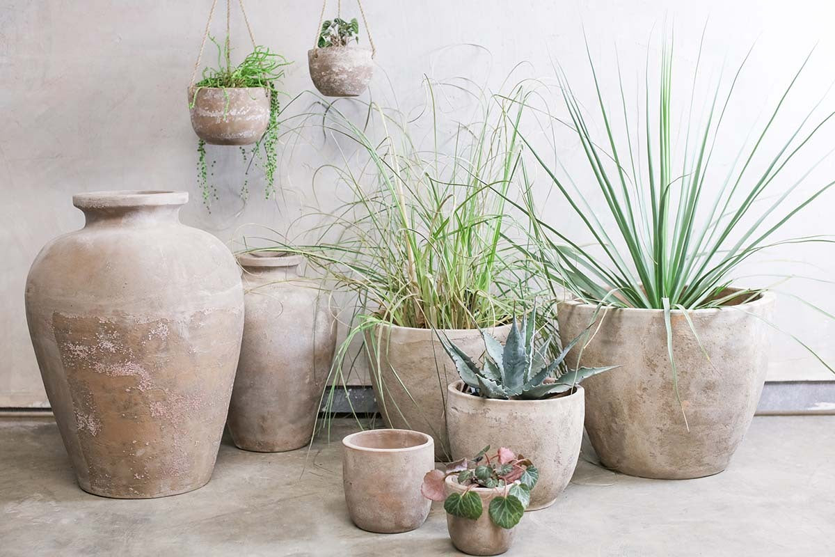 The nkuku Affiti Clay Tapered Pot - Large is shown on a concrete floor by a light wall, grouped with other clay pots holding tall grasses, succulents, and leafy plants; two small hanging pots above display trailing greenery and a small plant.